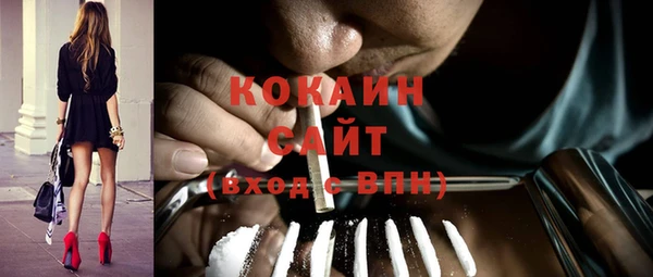 индика Алексин