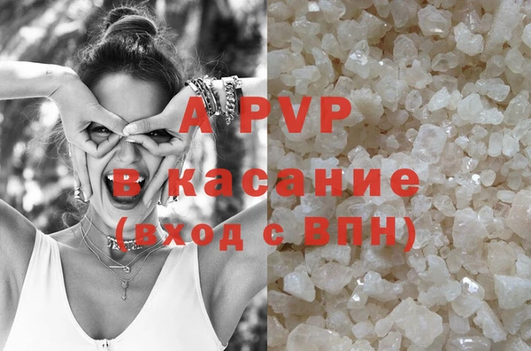 индика Алексин
