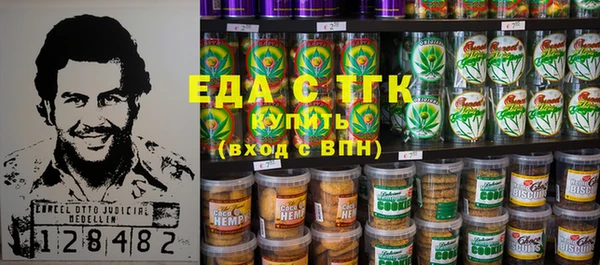 индика Алексин