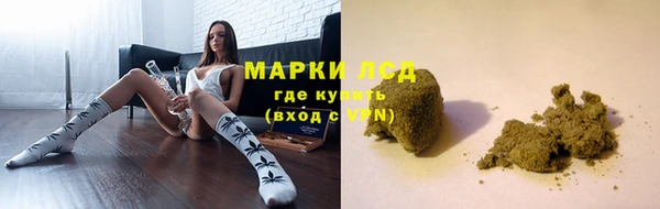 амф Алзамай