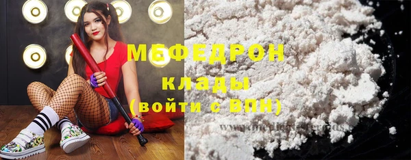 индика Алексин