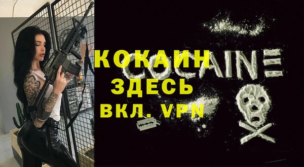 индика Алексин