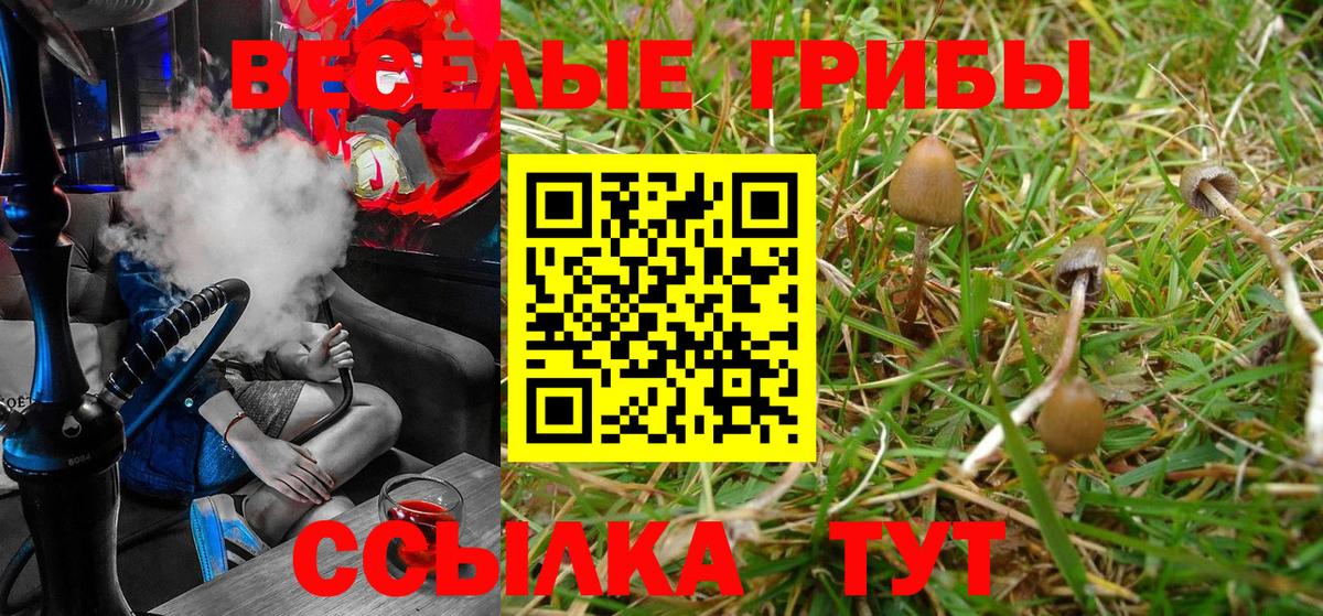 Галлюциногенные грибы прущие грибы Искитим