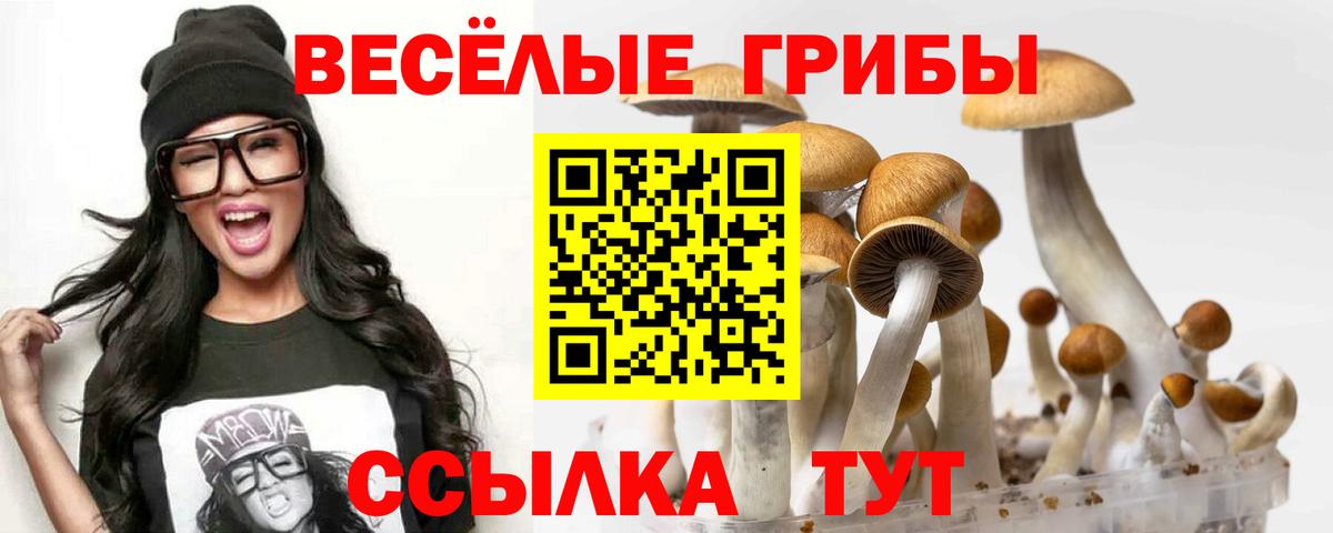 Гашиш  Меф  COCAIN  Мефедрон кристаллы  Каннабис  Искитим  МДМА  Кетамин  Вход с VPN  ГАШ  ЭКСТАЗИ 