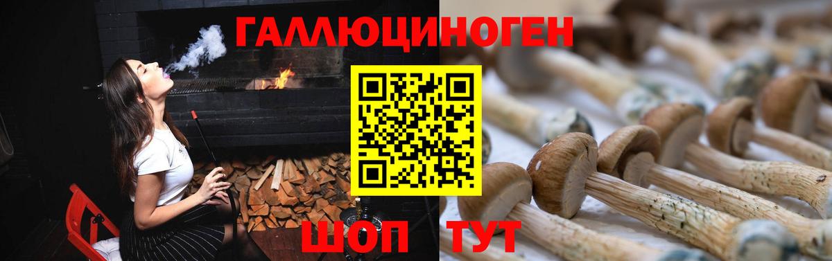 Искитим  сколько стоит  Вход с VPN  Псилоцибиновые грибы GOLDEN TEACHER 